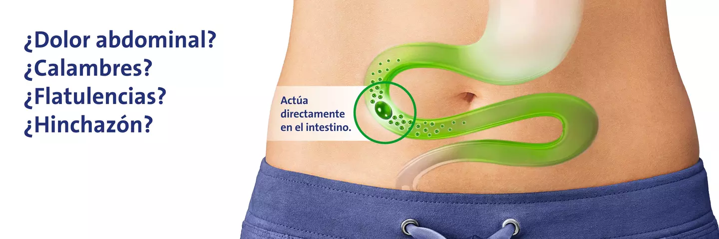 gastropan_header.jpeg